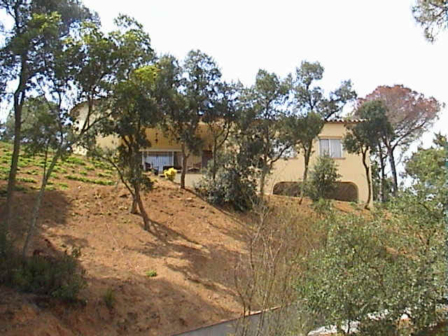 DSC00044.JPG (97382 bytes)